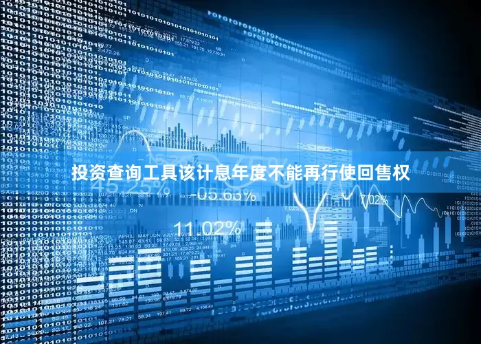 投资查询工具该计息年度不能再行使回售权