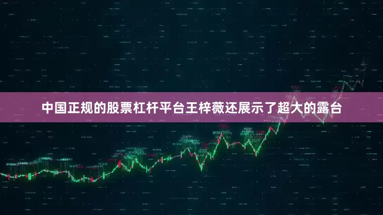 中国正规的股票杠杆平台王梓薇还展示了超大的露台