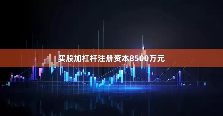 买股加杠杆注册资本8500万元