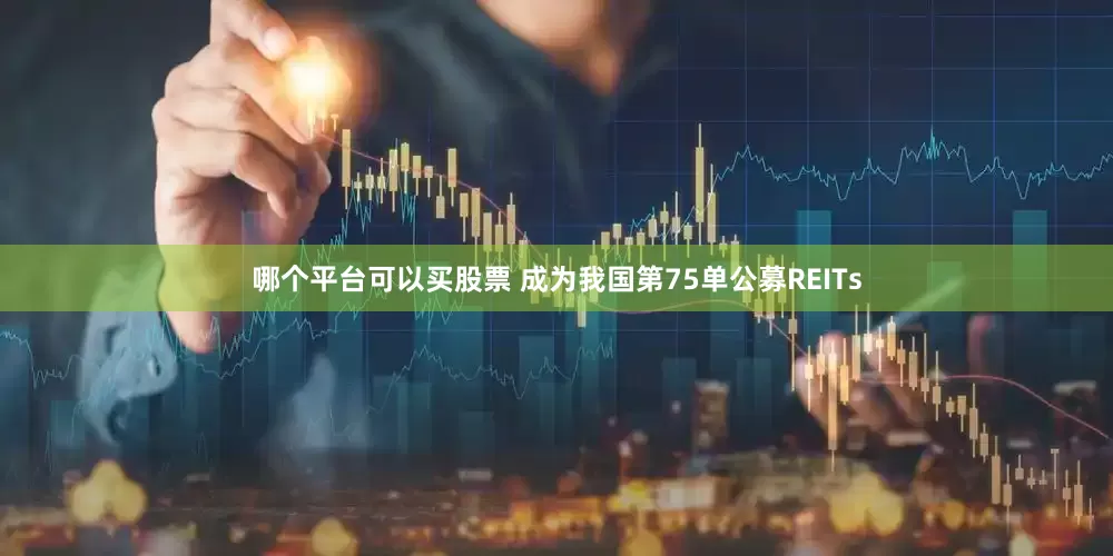 哪个平台可以买股票 成为我国第75单公募REITs