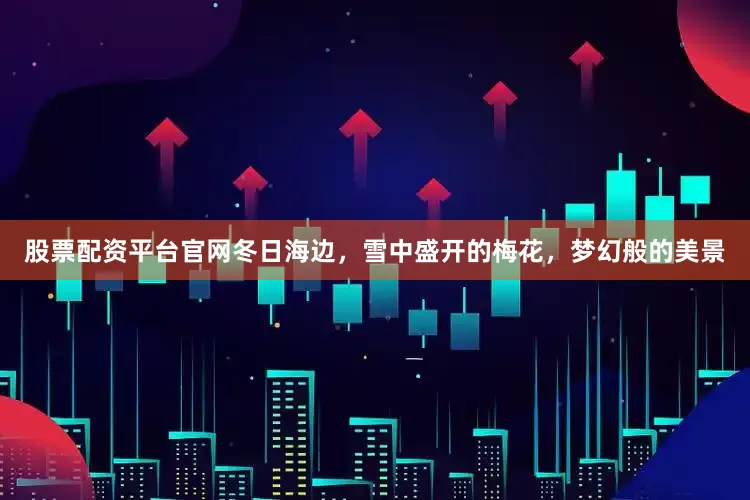 股票配资平台官网冬日海边，雪中盛开的梅花，梦幻般的美景