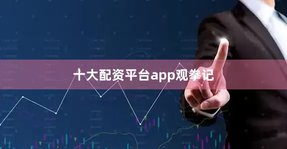十大配资平台app观拳记